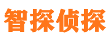 会同外遇调查取证